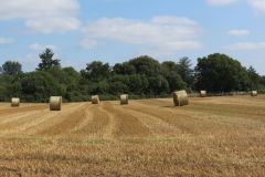 5.-Hay-bales-near-Thorverton-6