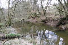 River Haddeo upstream from Wimbleball