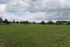River Parrett Nature