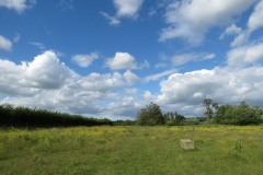 Buttercup-fields-by-River-Parrett-below-Creedy-Bridge-3
