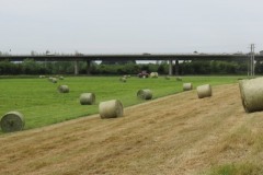 Hay-making-by-River-Parrett