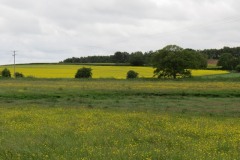 View-from-River-Parrett-upstream-from-Petherton-Bridge-2