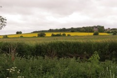 View-from-River-Parrett-upstream-from-Petherton-Bridge