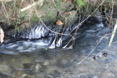 3. Icicles near Luckwell Bridge