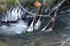 4. Icicles near Luckwell Bridge