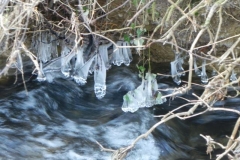 5. Icicles near Luckwell Bridge