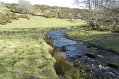 10. Downstream from Roborogh Castle Ford