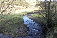 11. Downstream from Roborogh Castle Ford