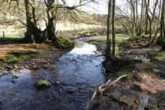14. Flowing through Shortacombe Wood