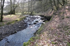 15. Flowing through Shortacombe Wood