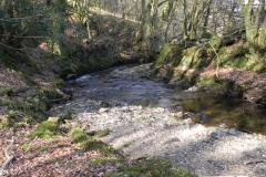16. Flowing through Shortacombe Wood