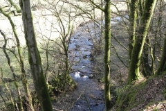 17. Flowing through Shortacombe Wood