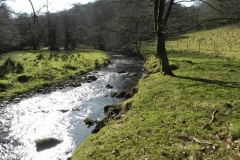 25. Downstream from Lyncombe Bridge
