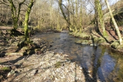 27. Downstream from Lyncombe Bridge