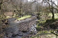 28. Downstream from Lyncombe Bridge