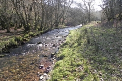 29. Downstream from Lyncombe Bridge