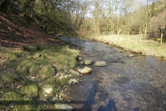 30. Downstream from Lyncombe Bridge