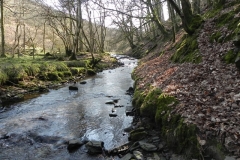 31. Upstream from Smallcombe Bridge
