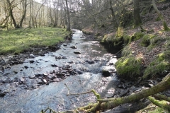32. Upstream from Smallcombe Bridge