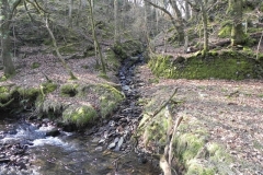 33. Upstream from Smallcombe Bridge