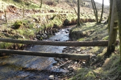 34. Upstream from Smallcombe Bridge