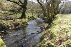 35. Upstream from Smallcombe Bridge