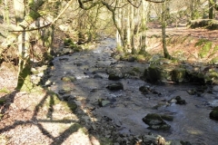 37. Upstream from Smallcombe Bridge