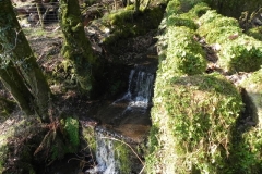 44. Tributary Stream from  Smallcombe