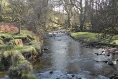 7. Looking upstream to  Roborough Castle Ford