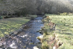 9. Downstream from Roborogh Castle Ford