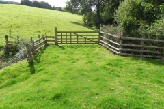 Rodhuish to Whitley Brake 