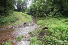 13. Downstream from Escott Farm Accommodation Bridge A