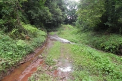 15. Downstream from Escott Farm Accommodation Bridge A