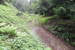 16. Downstream from Escott Farm Accommodation Bridge A