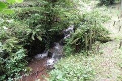 19. Downstream from Escott Farm Accommodation Bridge A