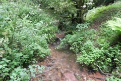 20. Downstream from Escott Farm Accommodation Bridge A