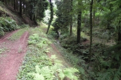 22. Upstream from ROW bridge 4640