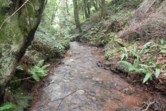 28. Looking downstream from ROW bridge 4640