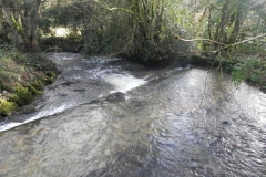 13. Weir downstream from ROW Bridge 5540