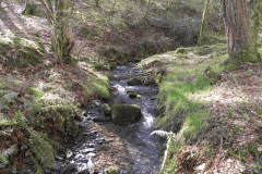 111. Downstream from ROW Bridge 3332