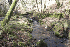 113. Downstream from ROW Bridge 3332
