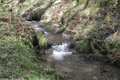 116. Weir downstream from ROW Bridge 3332