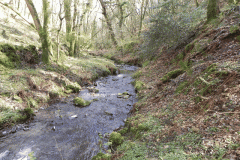 117. Upstream from ROW Bridge 3333