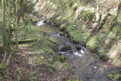 118. Upstream from ROW Bridge 3332