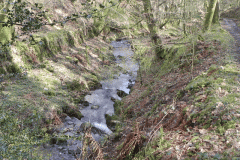 119. Upstream from ROW Bridge 3332