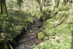 123. Looking upstream from ROW Bridge 3332