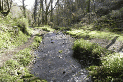 124. Looking downstream from ROW Bridge 3332