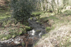 127. Downstream from ROW Bridge 3332