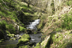 134. Hawkcombe Weir