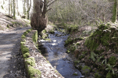 135. Downstream from Hawkcombe Weir